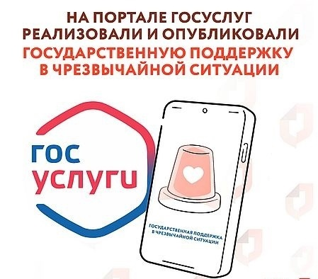 На портале Госуслуг заработал новый сервис «Государственная поддержка в чрезвычайной ситуации».