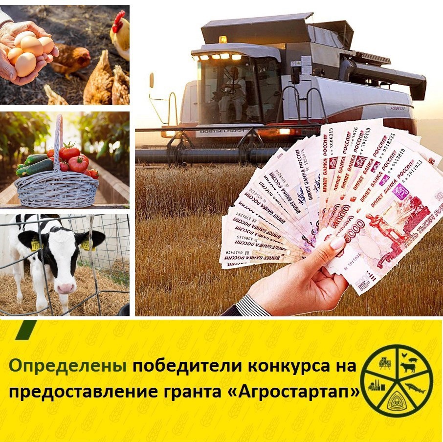 7 талантливых предпринимателей из 6 округов нашей области успешно прошли конкурсный отбор и получат гранты «Агростартап» для развития своего сельскохозяйственного бизнеса.