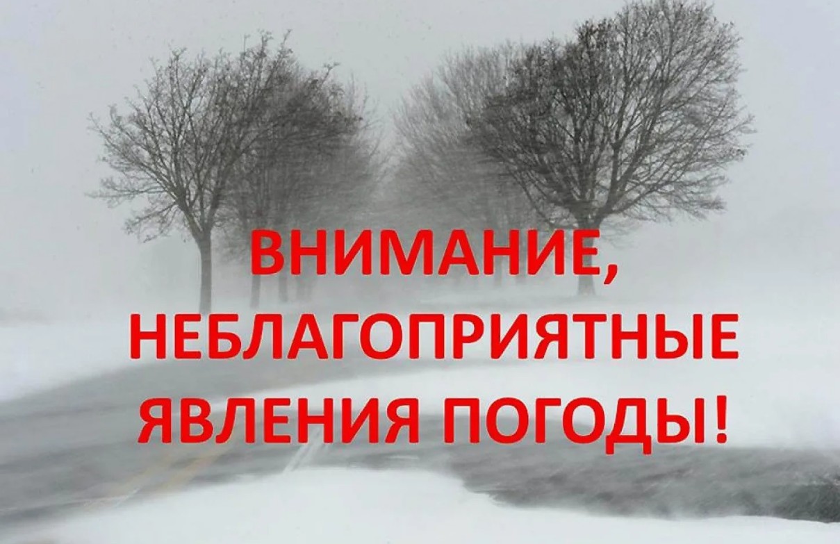 По данным Филиала ФГБУ Северное УГМС «Вологодский центр по гидрометеорологии и мониторингу окружающей среды».