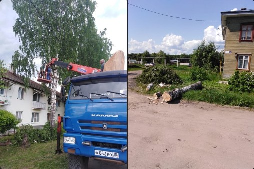 Жители села Васильевское за безопасность.