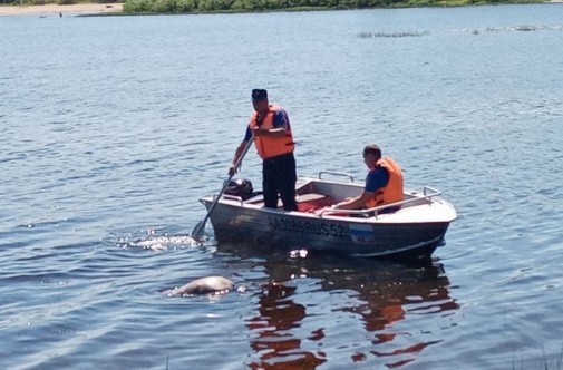 В районе деревни Меденицыно вчера днем спасатели извлекли из воды тело мужчины.