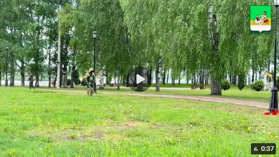 Игорь Быков: Покос травы в Великом Устюге.