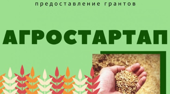 Стартовал прием заявок на грант «Агростартап».