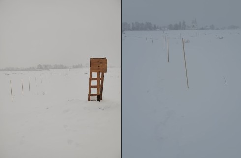 Хорошая новость.