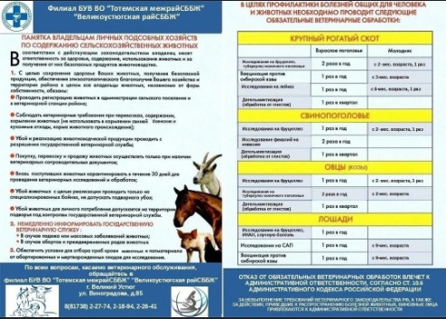 В целях профилактики болезней общих для человека и животных необходимо проводить следующие обязательные ветеринарные обработки.