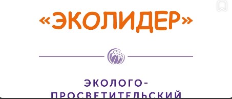 Неправительственный экологический фонд имени В.И. Вернадского объявил о страте четвертой смены эколого- просветительского проекта &quot;Школа &quot;Эколидер&quot;.