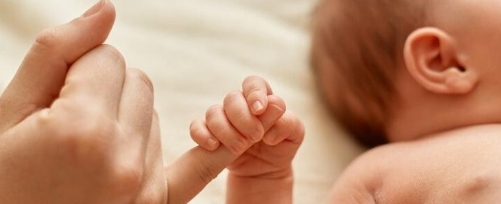 Каждый четвертый малыш на Вологодчине регистрируется через суперсервис «Рождение ребенка».