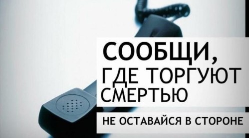 В Вологодской области стартует ежегодная Общероссийская акция «Сообщи, где торгуют смертью».