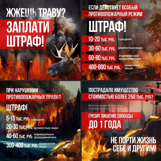 Впереди солнечные выходные, и мы все мечтаем об отдыхе на свежем воздухе.