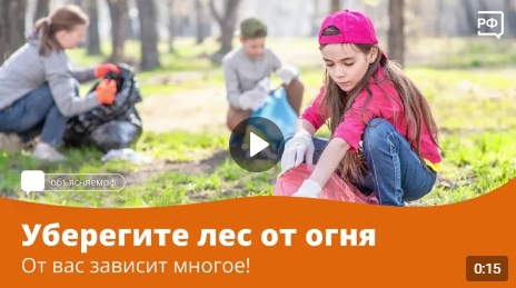 Чего стоит предотвратить пожар.