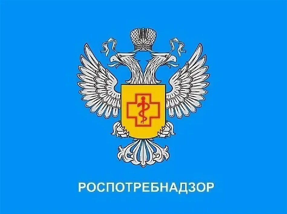 «О ходе подготовки оздоровительных учреждений к летнему сезону»..