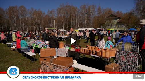 В минувшие выходные на площади Славы прошла традиционная сельскохозяйственная ярмарка.