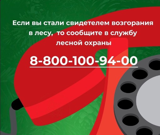 С 22 апреля в Вологодской области стартовал пожароопасный сезон.