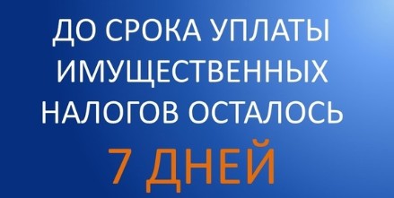 До срока уплаты имущественных налогов физических лиц осталась одна неделя.