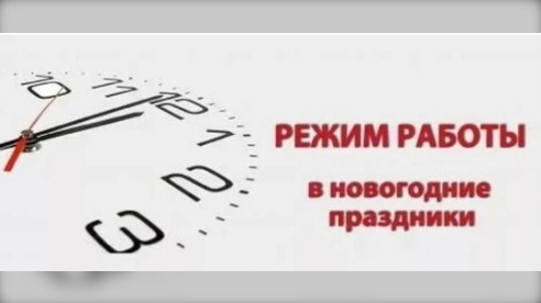 В период новогодних праздников жителям Вологодской области будет оказана необходимая медицинская помощь.