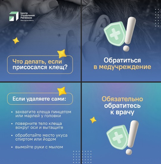 6010 жителей региона уже пострадали от укусов клещей в этом году, 1679 из них – дети.