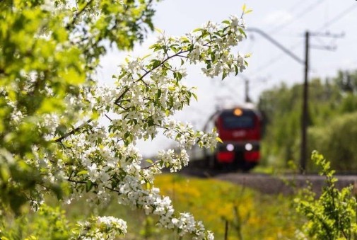С 28 апреля по 9 мая РЖД увеличат количество составов на популярных маршрутах.