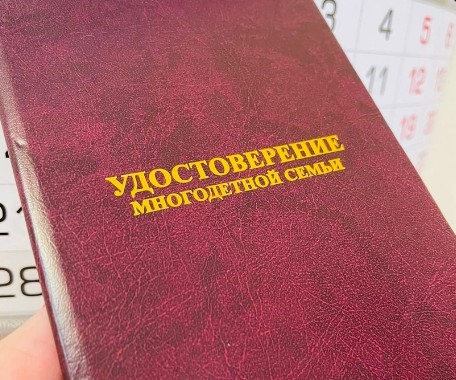 В Вологодской области расширены меры поддержки для многодетных семей.