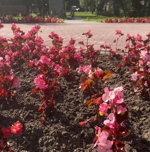 Комплексный подход к благоустройству.