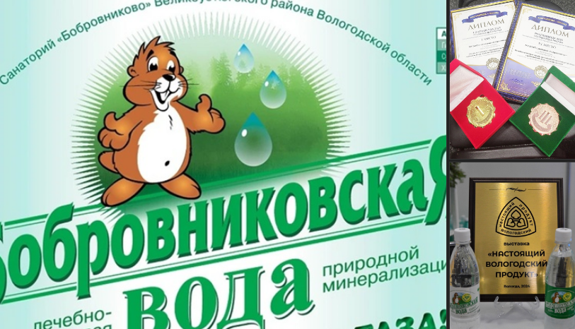 Вологжане направили более 450 инициатив на форум «Сильные идеи для нового времени» и 132 заявки на конкурс растущих российских брендов «Знай наших».