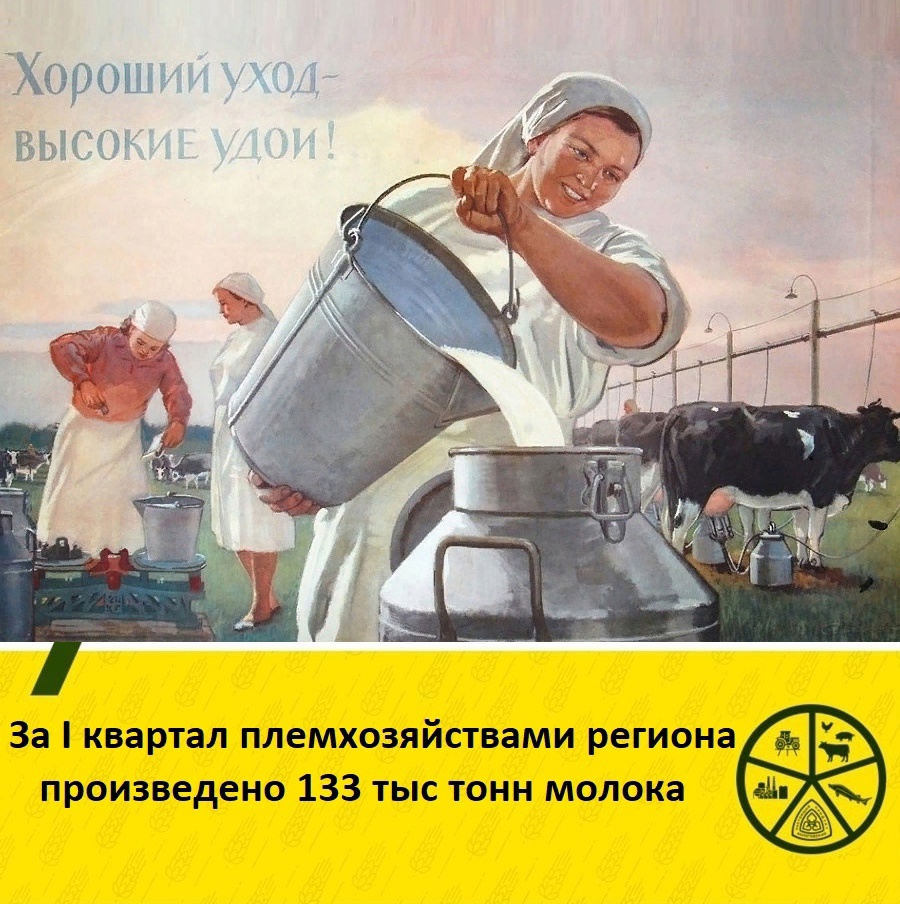 Подведены итоги работы вологодских племхозяйств за I квартал.