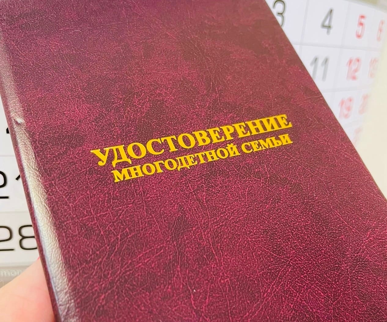 На Вологодчине за 10 лет вдвое возросло количество многодетных семей.