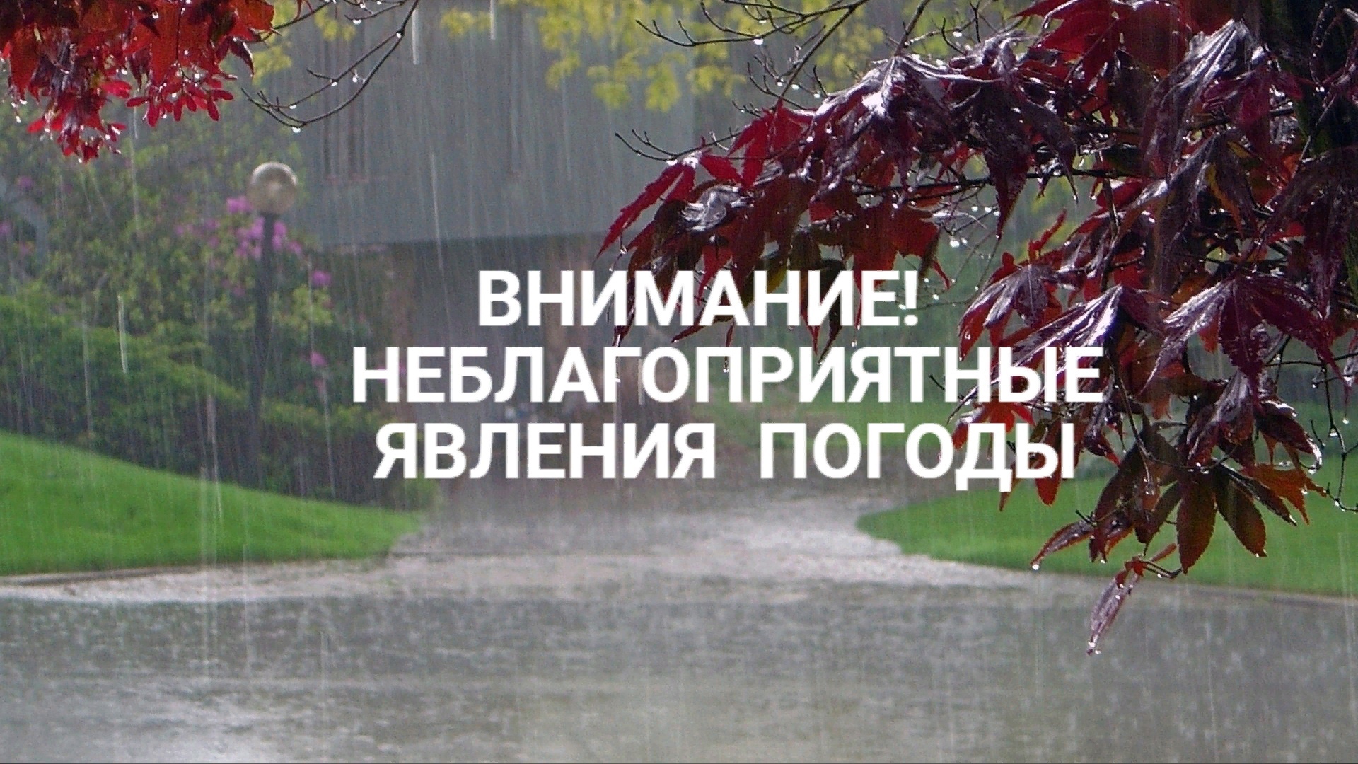 По данным Филиала ФГБУ Северное УГМС «Вологодский центр по гидрометеорологии и мониторингу окружающей среды».