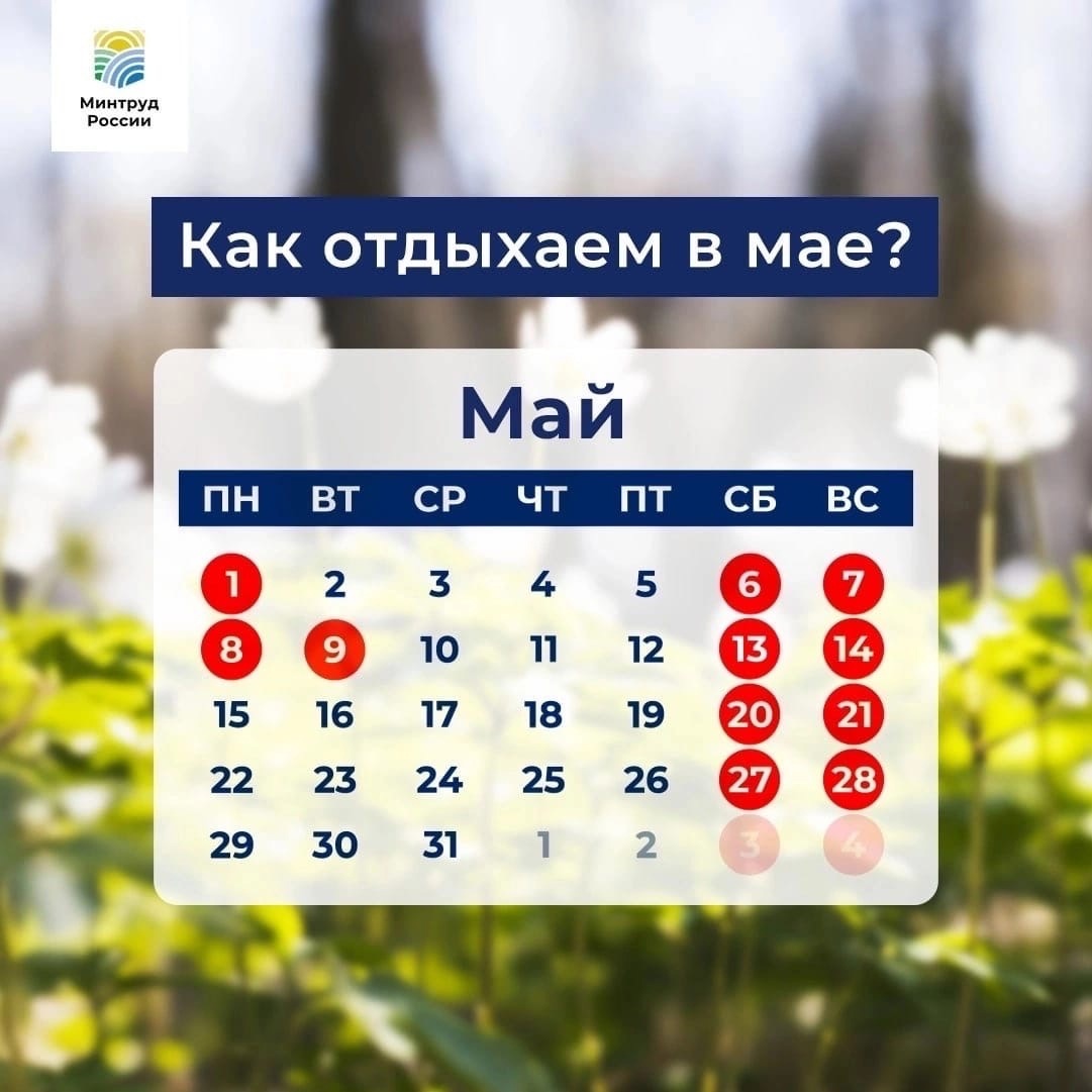 Как отдыхаем в мае?.