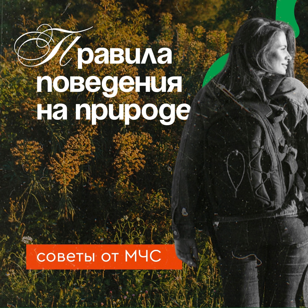 Наступит лето, и многие поспешат на природу.