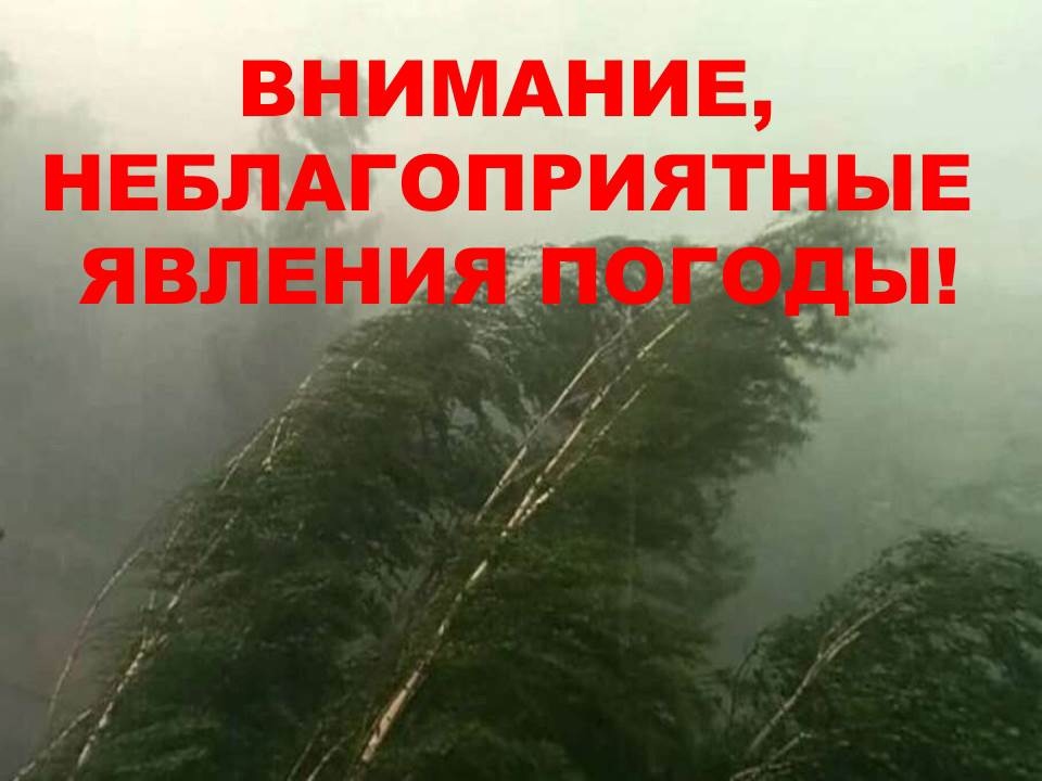 По данным Филиала ФГБУ Северное УГМС «Вологодский центр по гидрометеорологии и мониторингу окружающей среды».