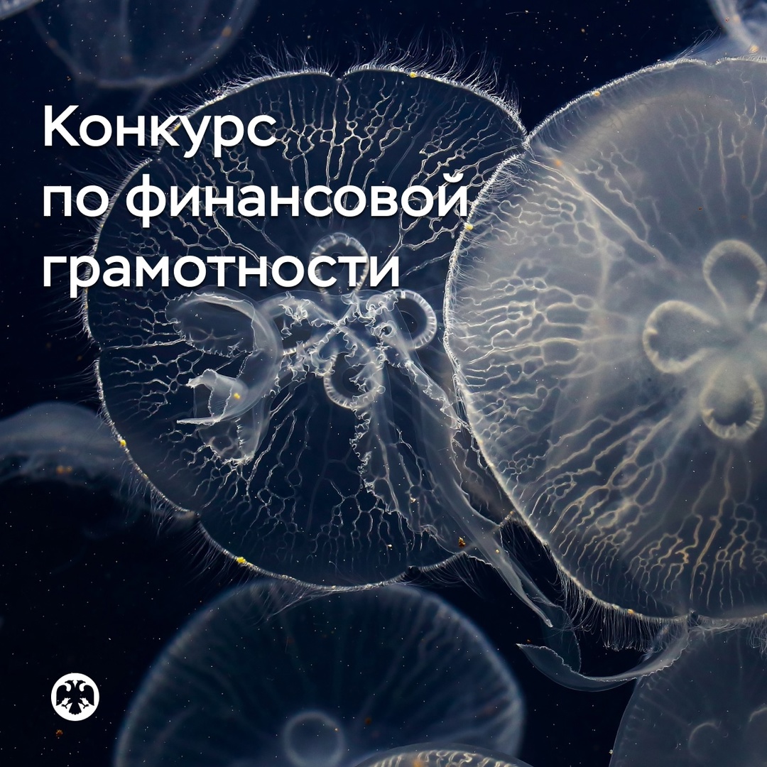 Банк России приглашает принять участие в конкурсе по финансовой грамотности. За победу - путевка в Артек. .
