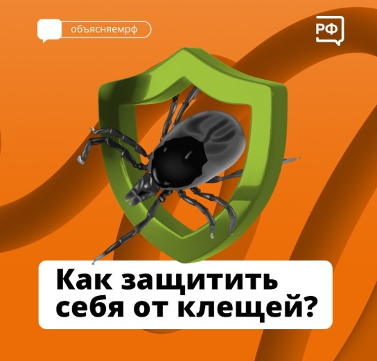В Вологодской области начался сезон активности клещей: важно позаботиться о профилактике. В Вологодской области начался сезон активности клещей: важно позаботиться о профилактике.
