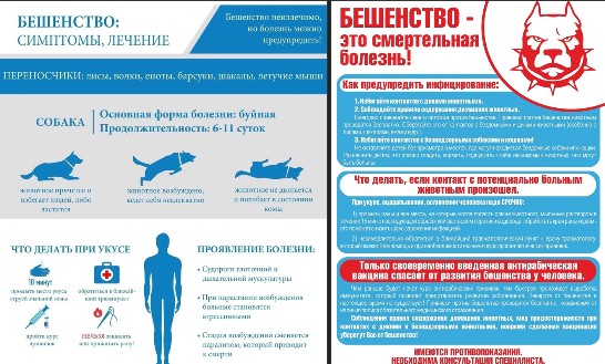 Осторожно, бешенство. Осторожно, бешенство.