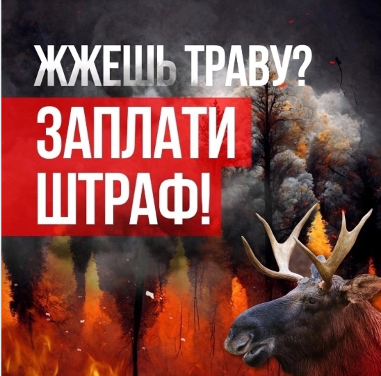 На следующей неделе ожидается резкое потепление с установлением сухой и теплой погоды. На следующей неделе ожидается резкое потепление с установлением сухой и теплой погоды.