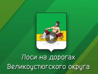 Внимание, водители!. Внимание, водители!.