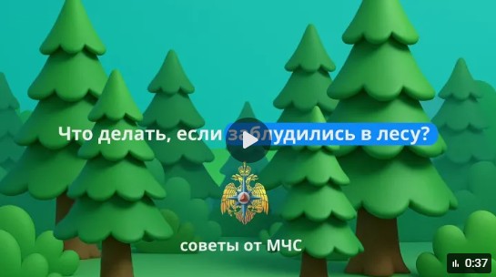 Трудно представить лето без походов в лес. Трудно представить лето без походов в лес.