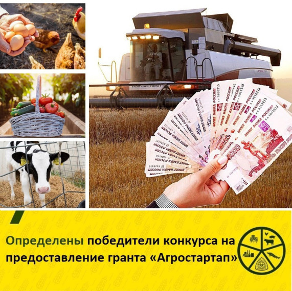 7 талантливых предпринимателей из 6 округов нашей области успешно прошли конкурсный отбор и получат гранты «Агростартап» для развития своего сельскохозяйственного бизнеса. 7 талантливых предпринимателей из 6 округов нашей области успешно прошли конкурсный отбор и получат гранты «Агростартап» для развития своего сельскохозяйственного бизнеса.