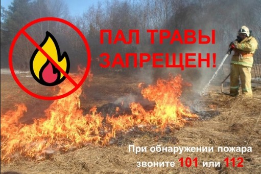 220 случаев загораний сухой растительности на площади 445 гектаров уже произошли с начала года на территории области. 220 случаев загораний сухой растительности на площади 445 гектаров уже произошли с начала года на территории области.