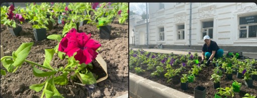 Порядка 14 тысяч петуний, бархатцев и других видов цветов украсят улицы нашего любимого города. Порядка 14 тысяч петуний, бархатцев и других видов цветов украсят улицы нашего любимого города.