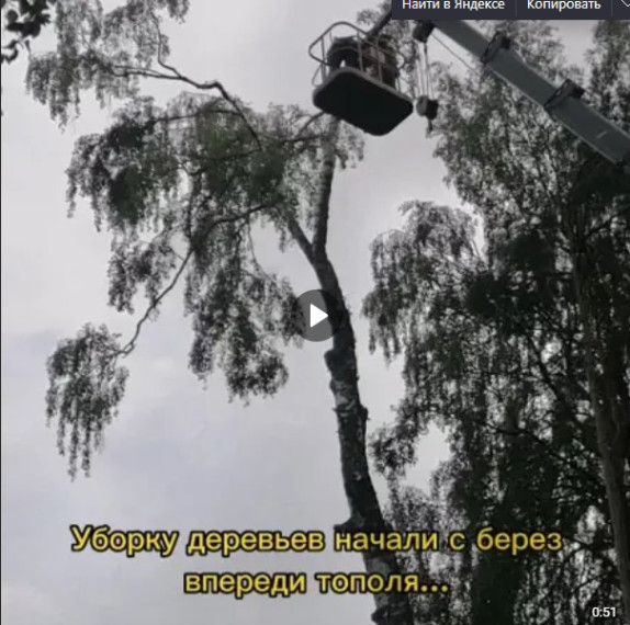К уборке опасно стоящих деревьев приступили в Усть-Алексеево. К уборке опасно стоящих деревьев приступили в Усть-Алексеево.