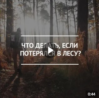 Брать в лес заряженный телефон, небольшой запас еды, спички, надевать яркую одежду и сообщать маршрут родным. Брать в лес заряженный телефон, небольшой запас еды, спички, надевать яркую одежду и сообщать маршрут родным.