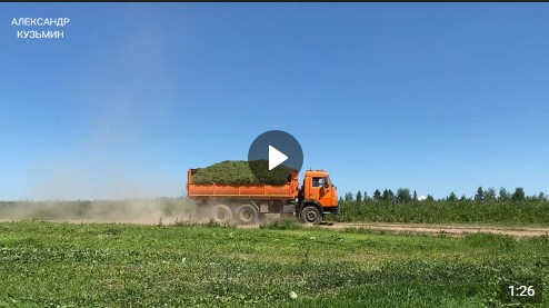 Аграрии вышли на заготовку кормов. Аграрии вышли на заготовку кормов.