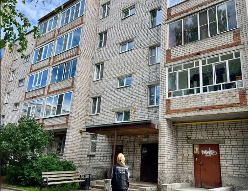 Малолетний ребенок выпал из окна в Великом Устюге. Малолетний ребенок выпал из окна в Великом Устюге.