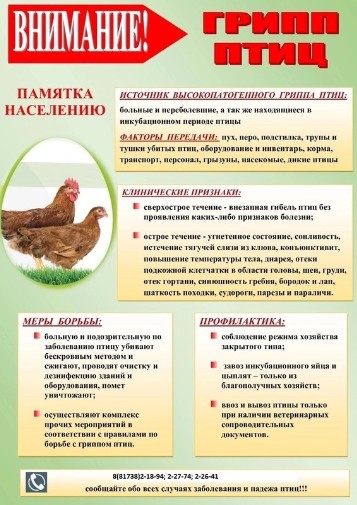 ВНИМАНИЕ!. ВНИМАНИЕ!.