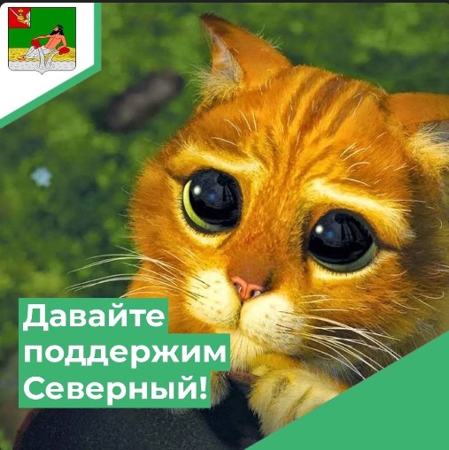 Друзья! Важно участие каждого. Друзья! Важно участие каждого.