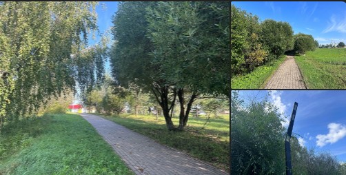 Пешеходная тропа от Гледенской до Неводчикова в этом году станет светлее. Пешеходная тропа от Гледенской до Неводчикова в этом году станет светлее.