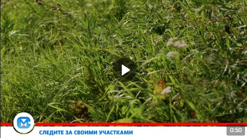 В минувший вторник на территории д. Галкино Юдинского территориального отдела прошел профилактический рейд по пожарной профилактике. В минувший вторник на территории д. Галкино Юдинского территориального отдела прошел профилактический рейд по пожарной профилактике.