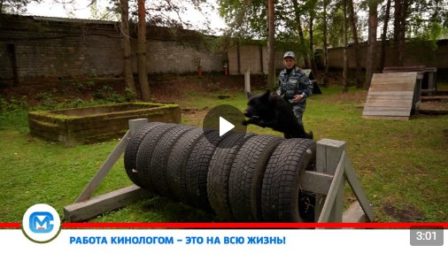 «Гангстер, ищи!». «Гангстер, ищи!».