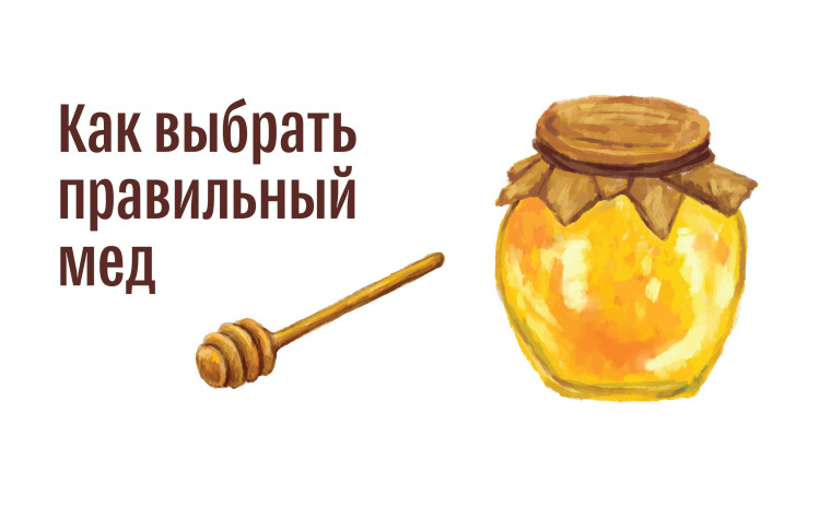 Рекомендации при покупке меда-день пчеловода в России. Рекомендации при покупке меда-день пчеловода в России.