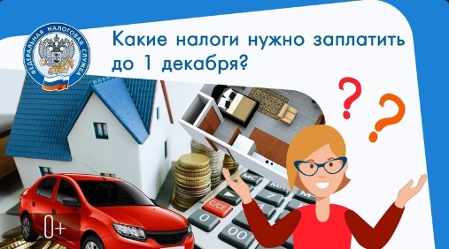 1 декабря истекает срок оплаты трёх налогов, взимаемых с физических лиц, — земельного, транспортного и имущественного. 1 декабря истекает срок оплаты трёх налогов, взимаемых с физических лиц, — земельного, транспортного и имущественного.